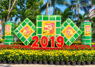 ĐƯỜNG HOA TÂN UYÊN 2019 